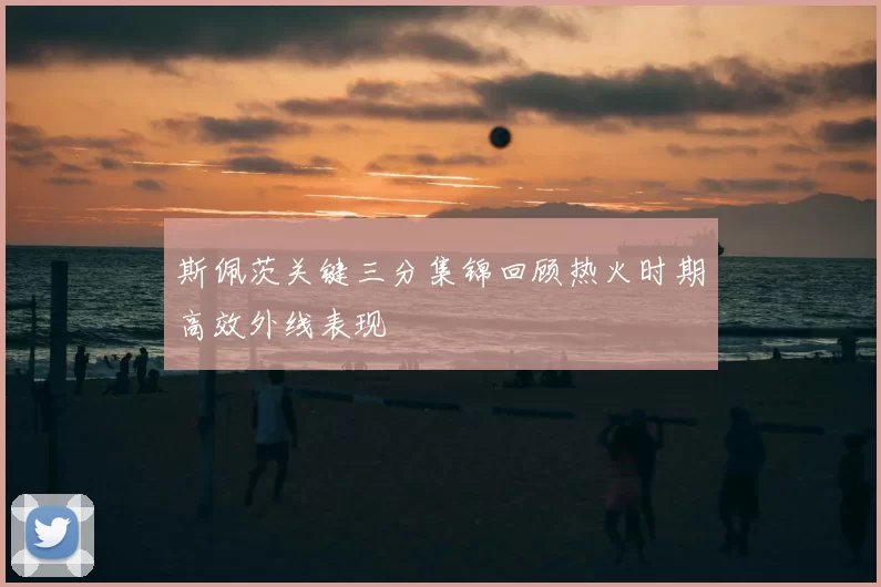 斯佩茨关键三分集锦回顾热火时期高效外线表现