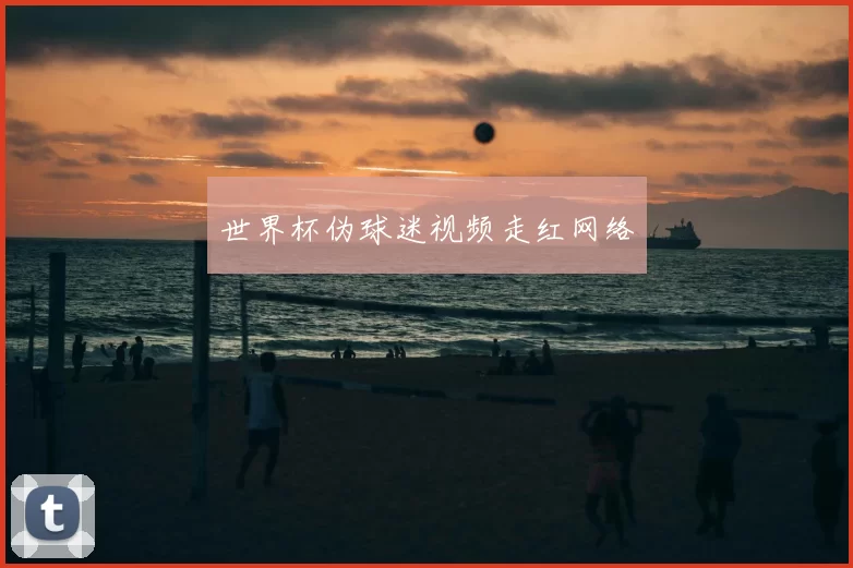 世界杯伪球迷视频走红网络