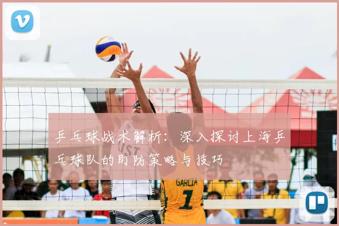 乒乓球战术解析：深入探讨上海乒乓球队的盯防策略与技巧