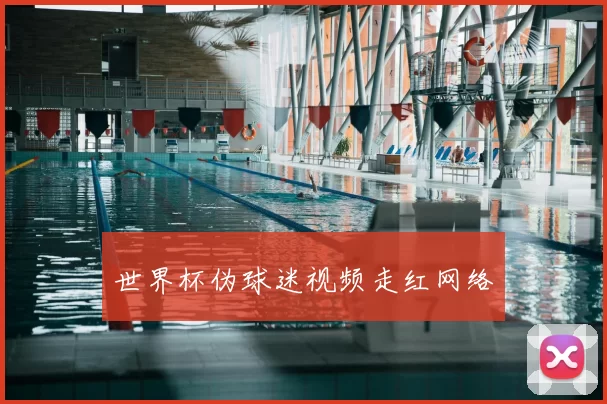 世界杯伪球迷视频走红网络