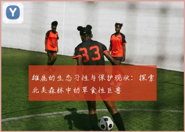 雄鹿的生态习性与保护现状：探索北美森林中的草食性巨兽