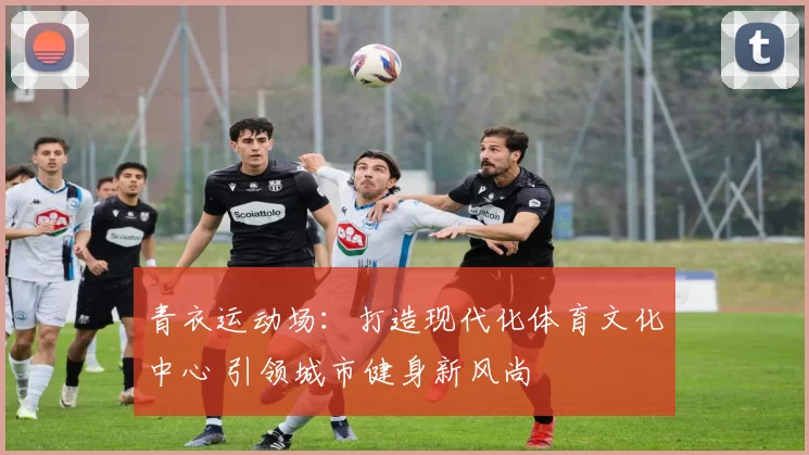 青衣运动场：打造现代化体育文化中心 引领城市健身新风尚