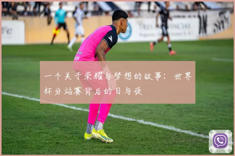 一个关于荣耀与梦想的故事:世界杯分站赛背后的日与夜