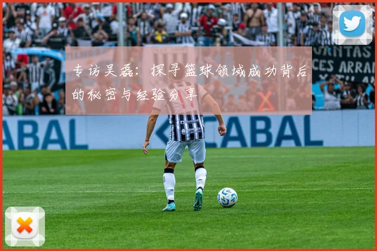 专访吴磊：探寻篮球领域成功背后的秘密与经验分享