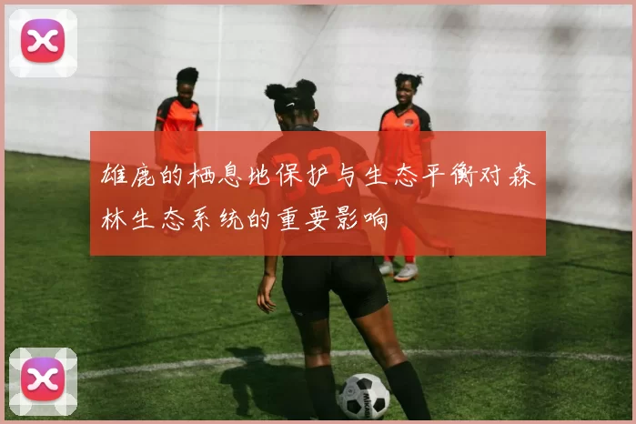 雄鹿的栖息地保护与生态平衡对森林生态系统的重要影响